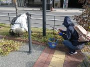 10月23日の植物ボランティアでヘメロカリスの刈込をするボランティア