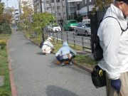 10月23日の植物ボランティアでヘメロカリスを刈り取るボランティア5