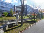 10月30日の植物ボランティアで樹名板を外すボランティア2