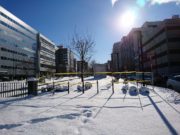 南1条西側の園路を閉鎖している様子