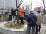 除名版取り付け作業をする植物ボランティアの人たち1