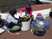花くらぶのメンバーが花を植え込む様子