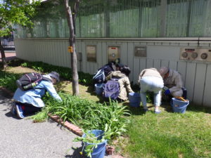 スズラン花壇の除草をするお助け隊の写真