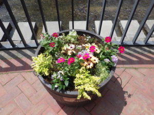 花が植えられた狸二条広場のたるコンテナの写真