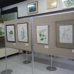 Botanical art (2)