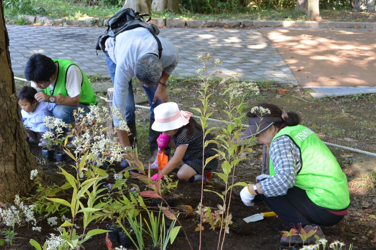 平成28年度植栽の様子