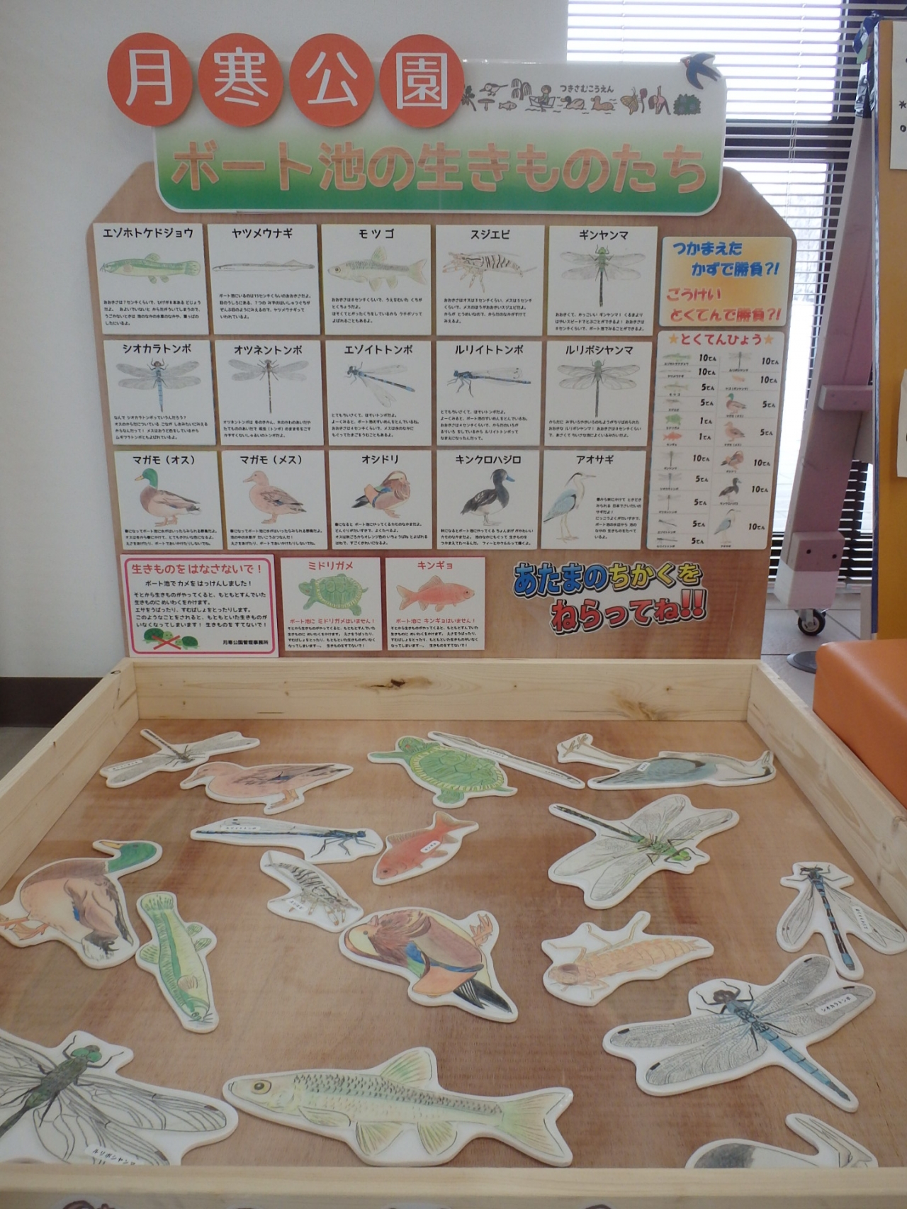 ボート池の生きものたち つりぼり