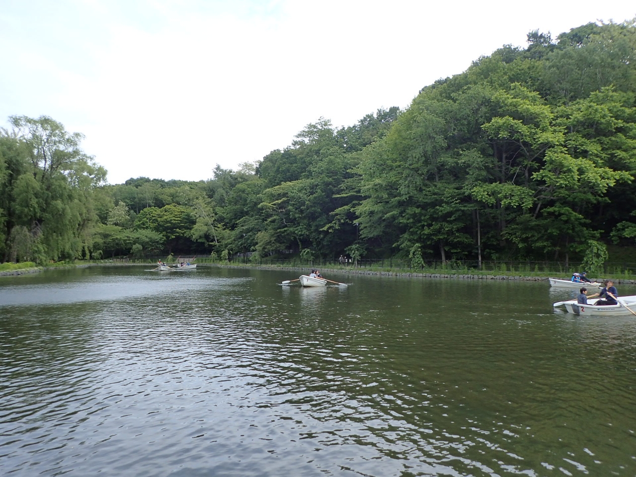 6月17日のボート池