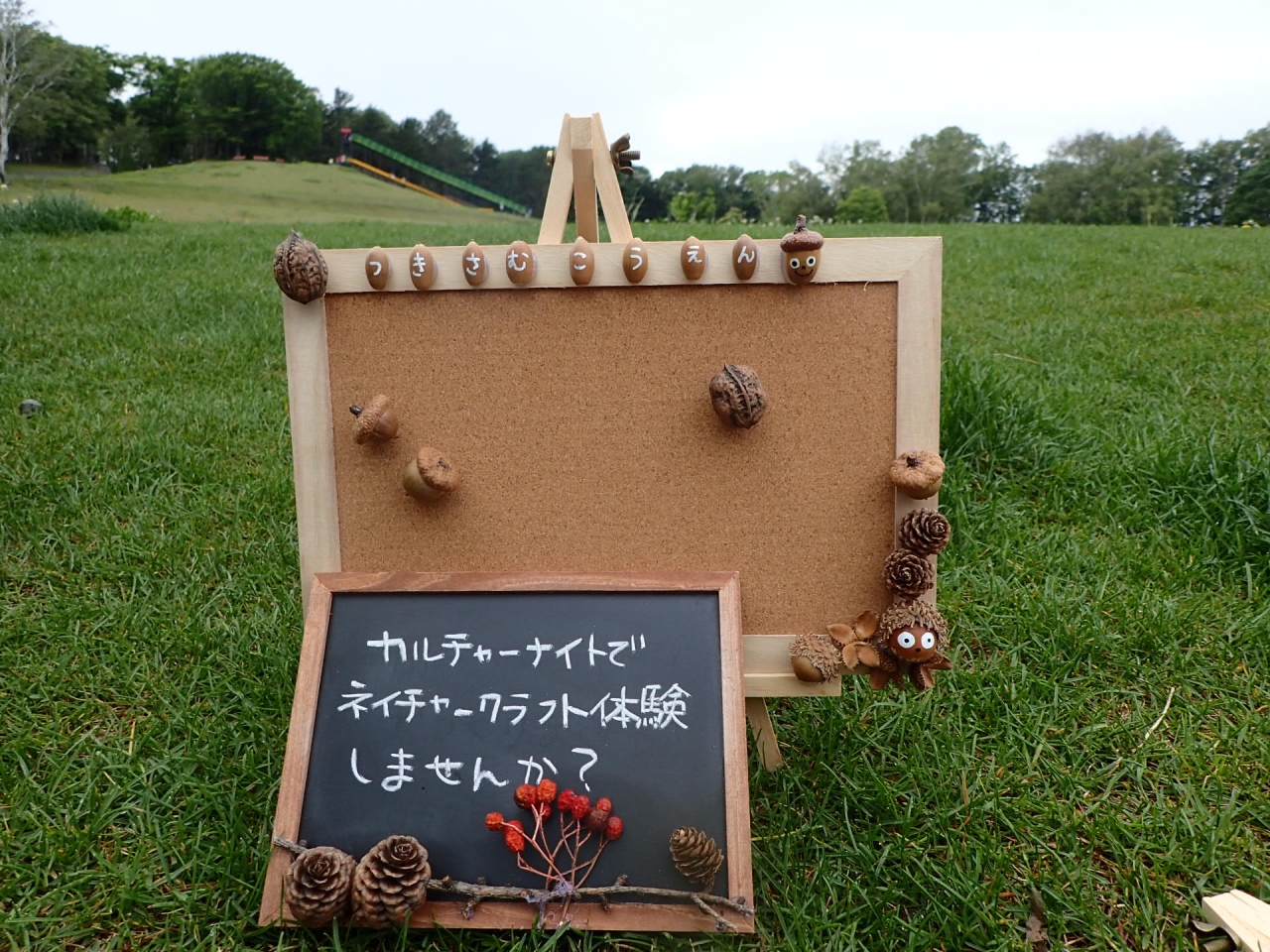 ネイチャークラフト