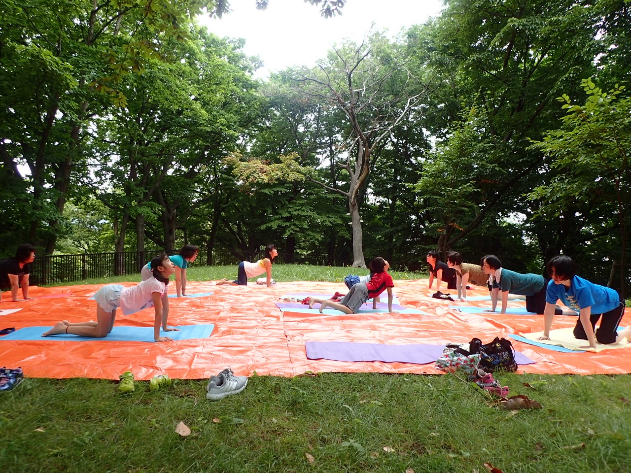 パークヨガ（猫のポーズ）