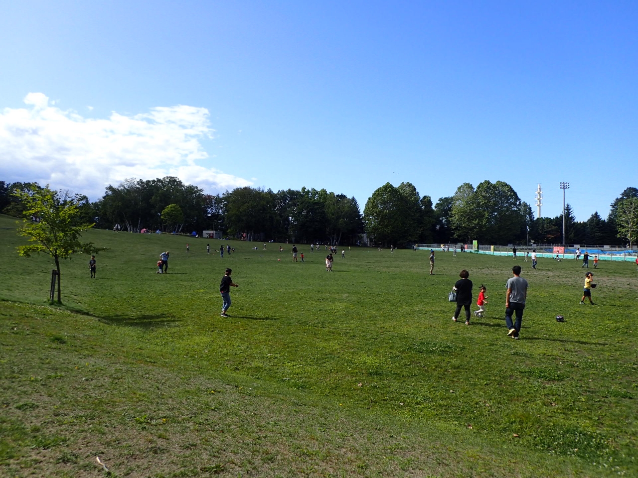 今回のテーマ芝生広場