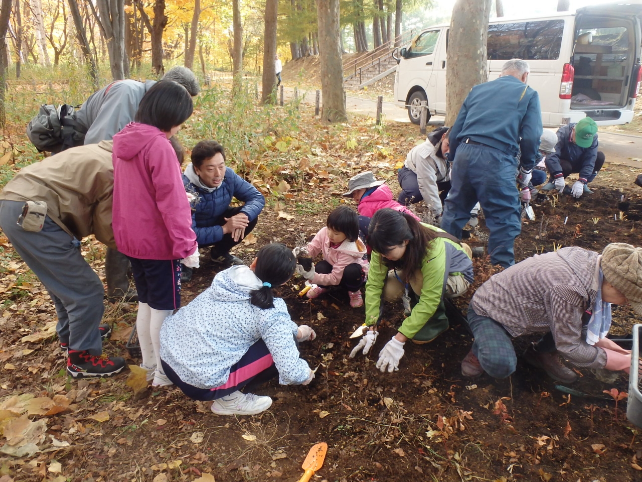 野の花を植えます