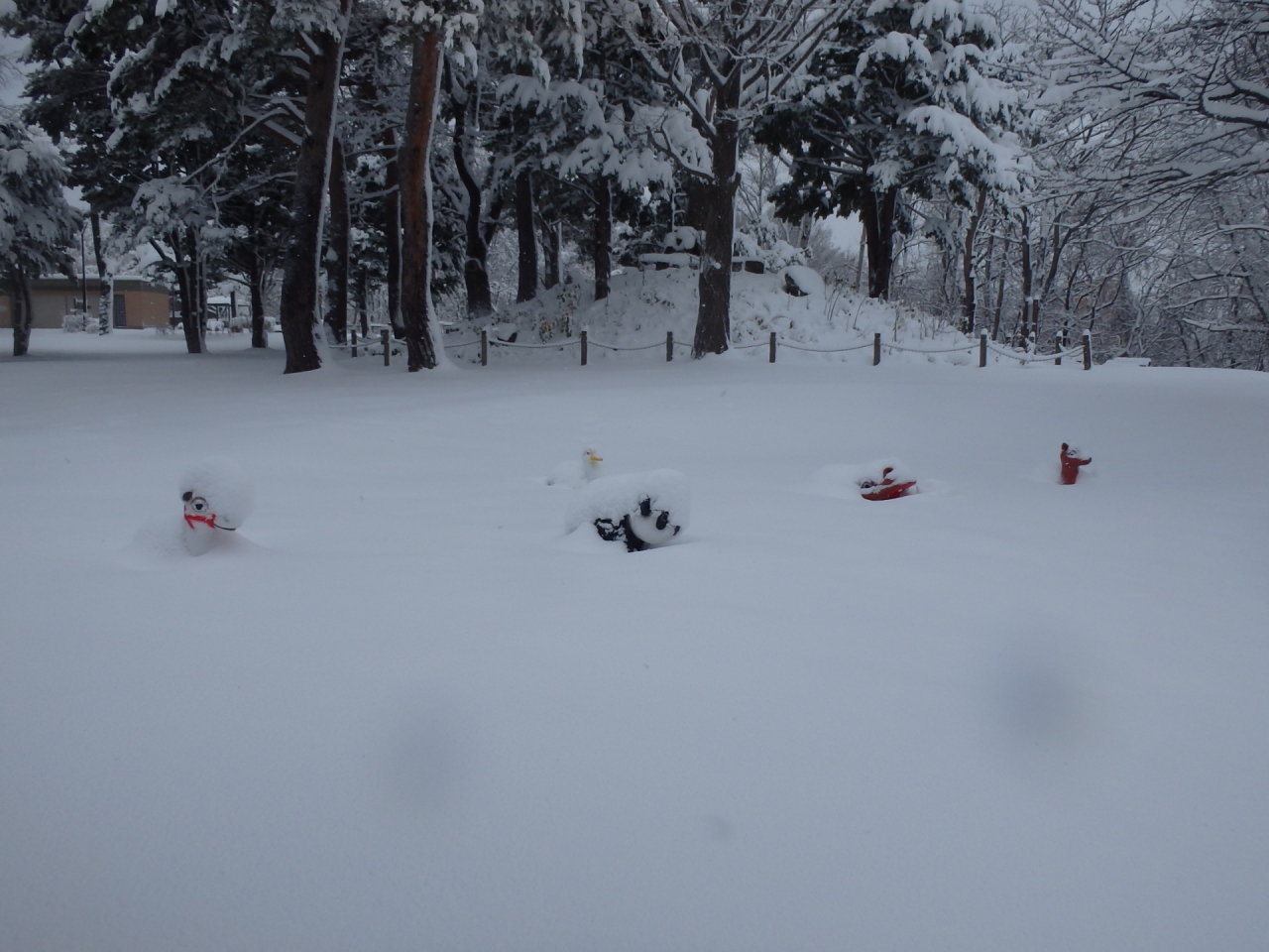 こどもひろばの動物たちもうまりそう