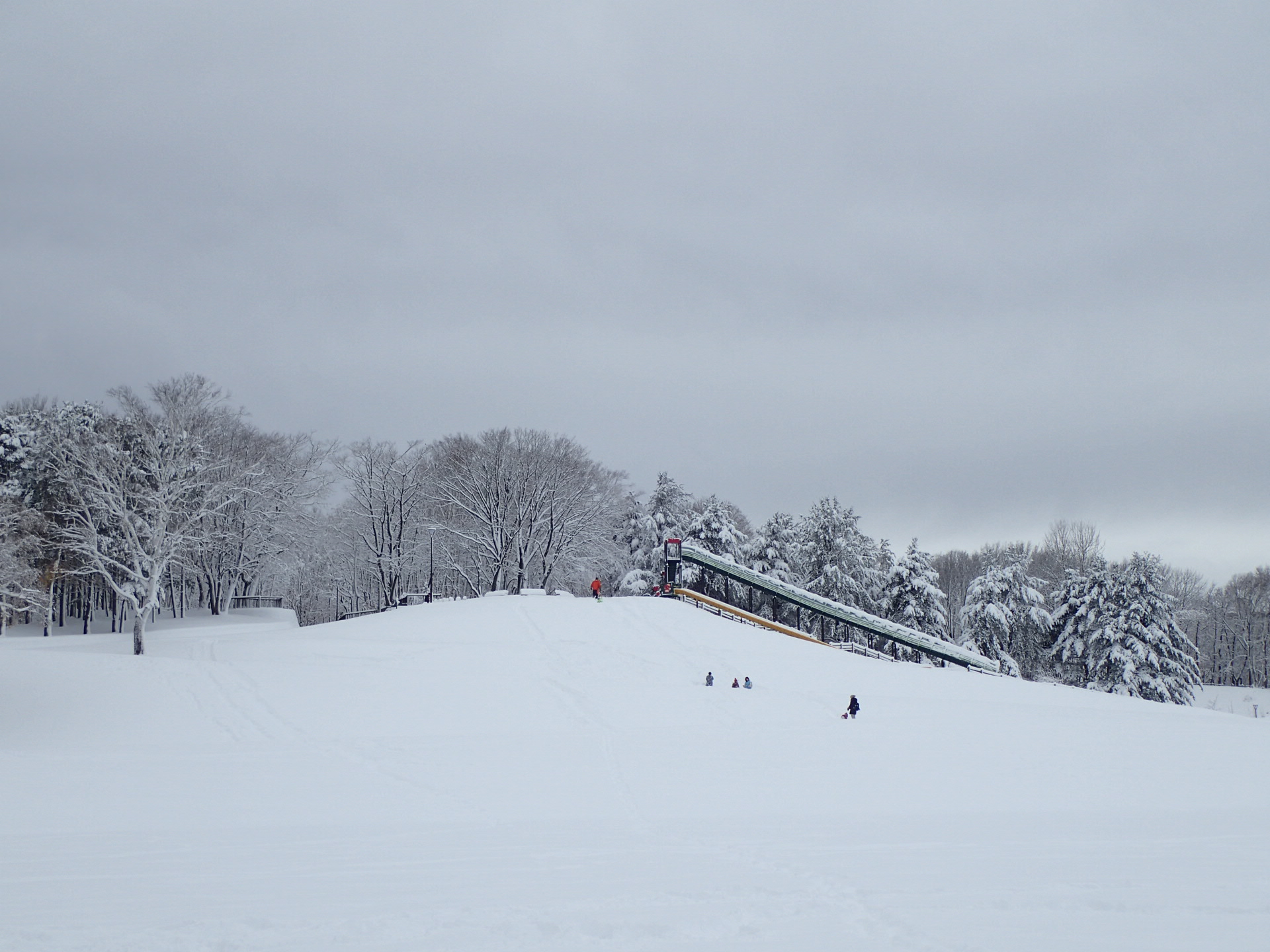 降雪後の月寒公園　11月19日