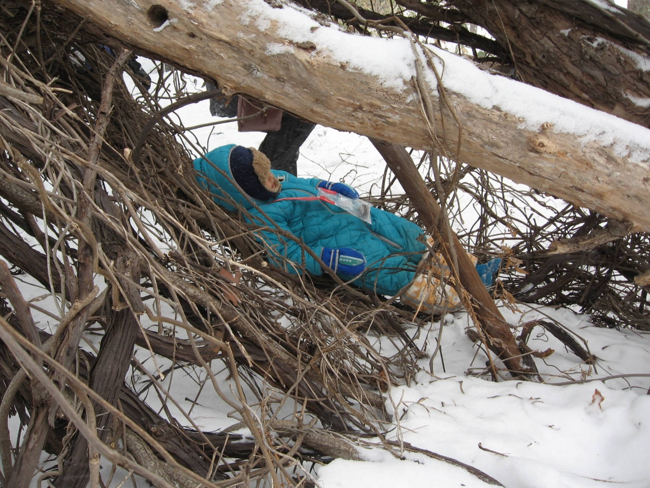 クズのハンモッグ