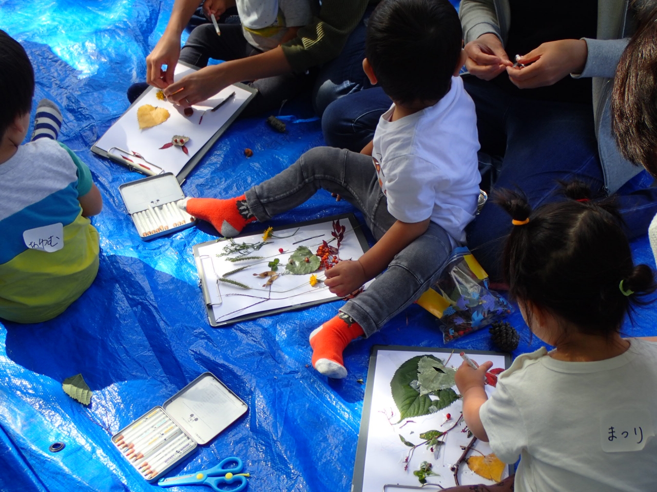 自然のものを使ってお絵かきしたよ