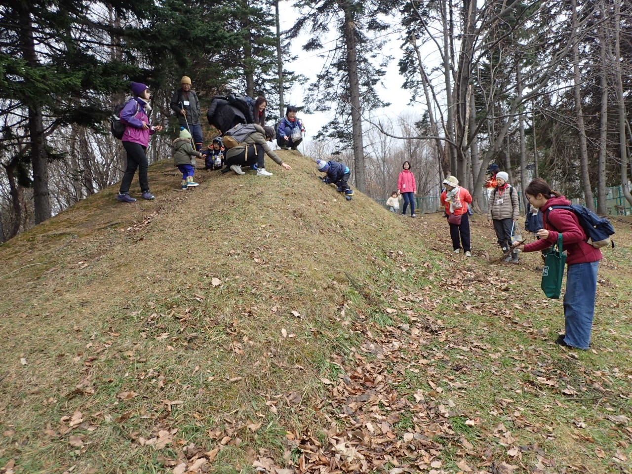 山の上からどんぐりころころころ