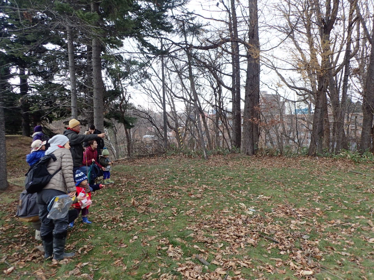 あ！木の上にエゾリス発見！