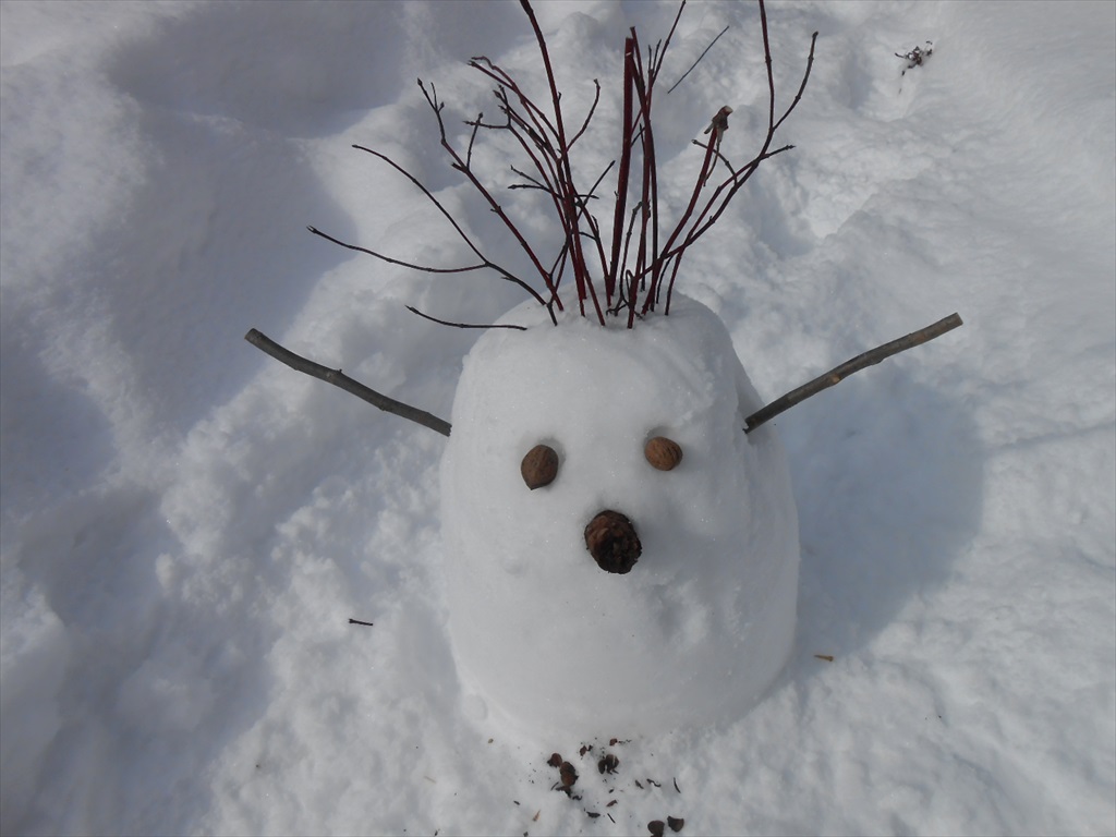 雪のふしぎ生物①
