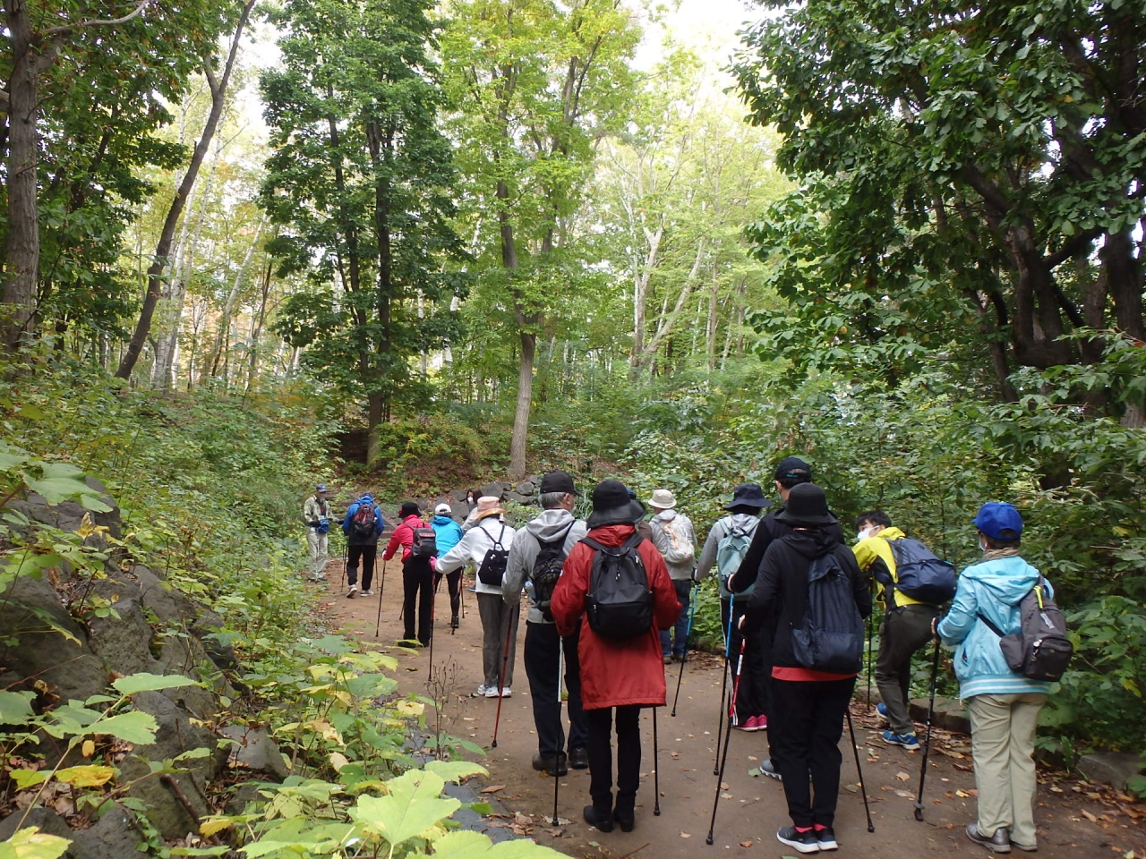 自然の中を散策