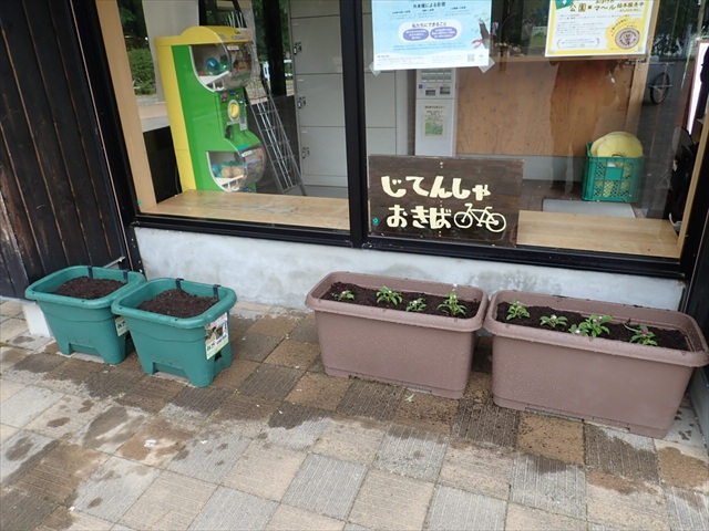 ボート受付棟のプランター_R