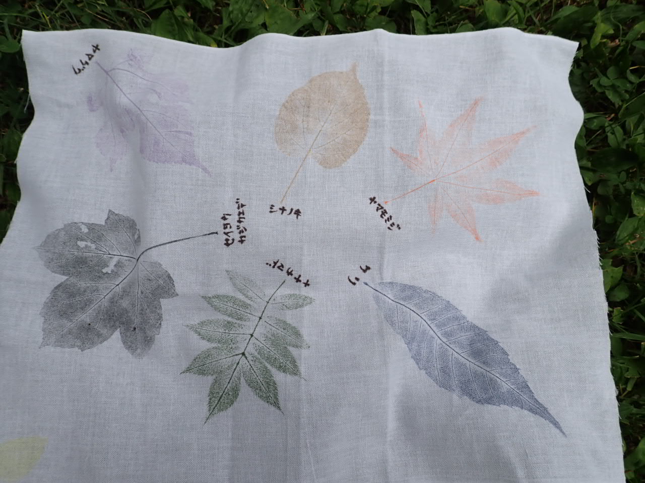 葉っぱのスタンプ（図鑑風）