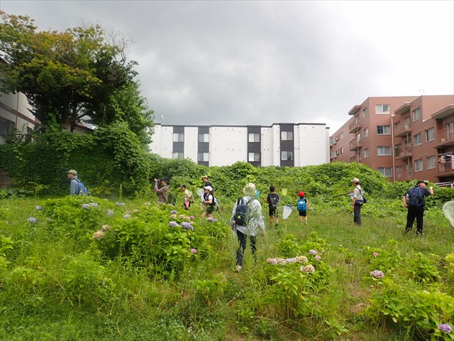 トンボチーム_R
