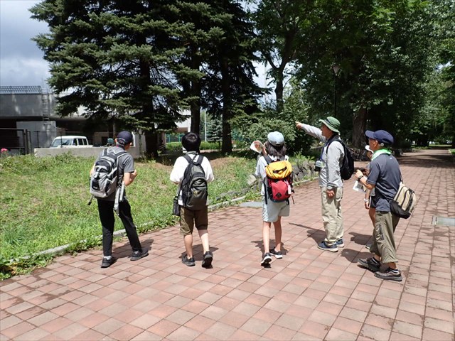 野鳥観察チーム_R