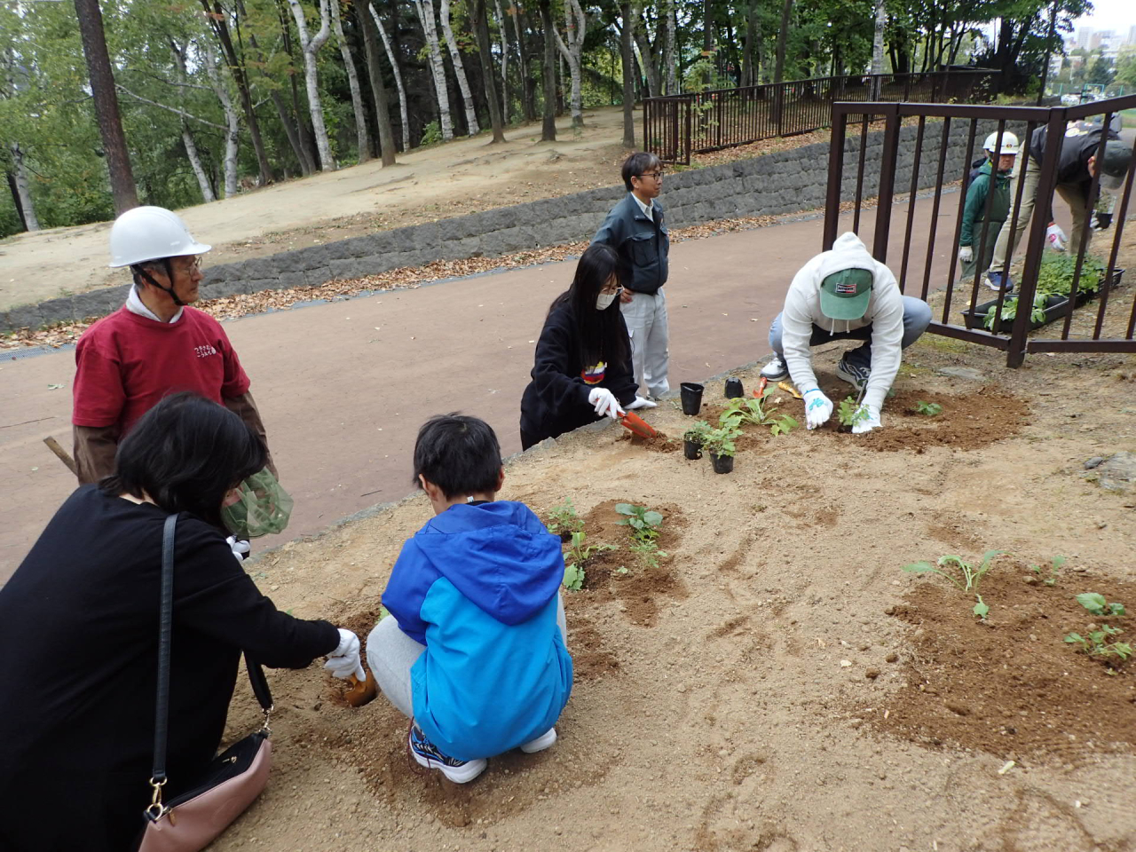 野の花を植えます