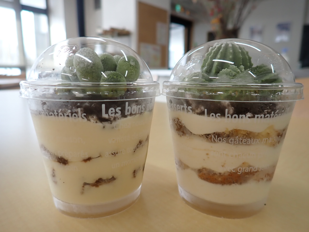 サボテンティラミス (2)