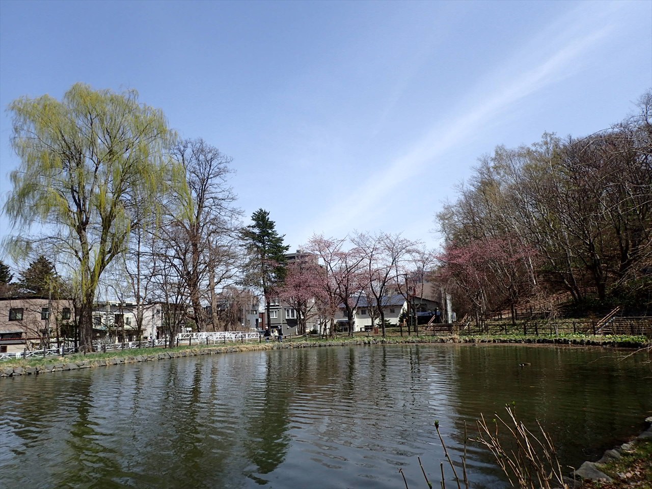 花見広場_R