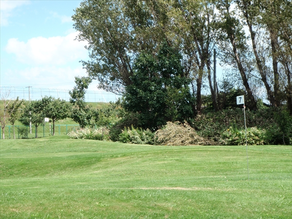 キリギリスコース