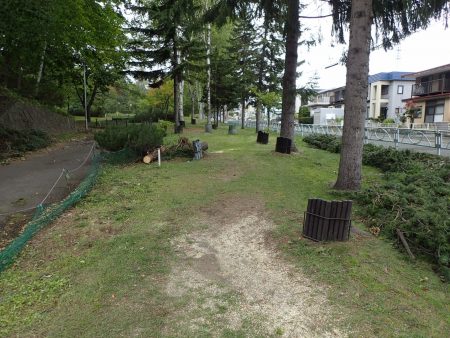 パークゴルフAコース