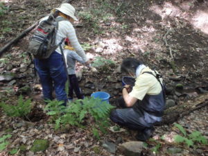 9月6日「森のたんけん隊」活動の様子2
