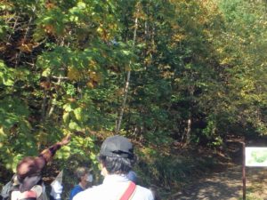 10月18日森のたんけん隊活動状況.1