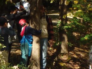 10月18日森のたんけん隊実施状況.4