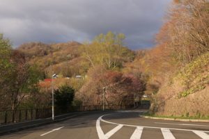 桜2021年5月7日5月6日1