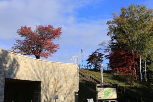旭山記念公園の紅葉2021年10月22日5レストハウス