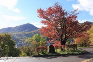 旭山記念公園の紅葉2021年10月22日7