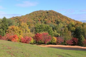 旭山記念公園の紅葉2021年10月22日8円山