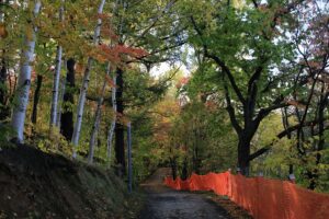 旭山記念公園の紅葉2021年10月22日12