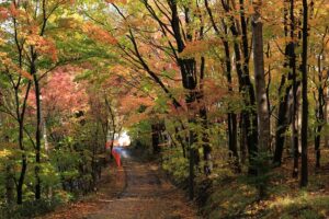 旭山記念公園の紅葉2021年10月22日13