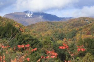 旭山記念公園の紅葉2021年10月22日10手稲山大倉山