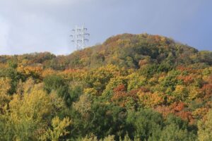 旭山記念公園の紅葉2021年10月22日9