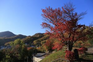 旭山記念公園の紅葉E2021年10月25日