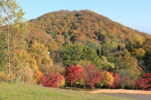 旭山記念公園の紅葉F2021年10月25日