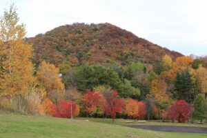 旭山記念公園の紅葉F2020年10月25日