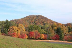旭山記念公園の紅葉F2021年10月26日