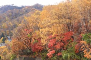 旭山記念公園の紅葉2021年10月31日5