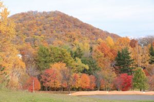 旭山記念公園の紅葉2021年10月31日9